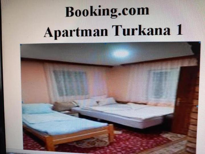 Turkana 1